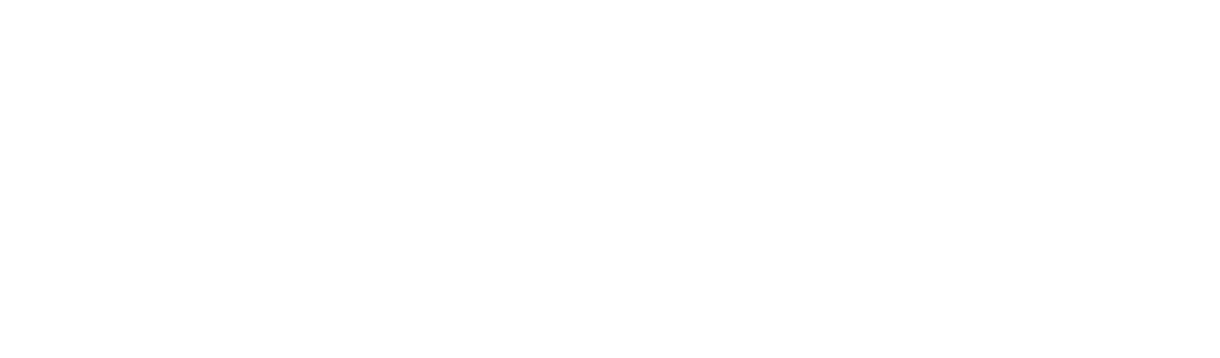 CarCorrect logo blanc
